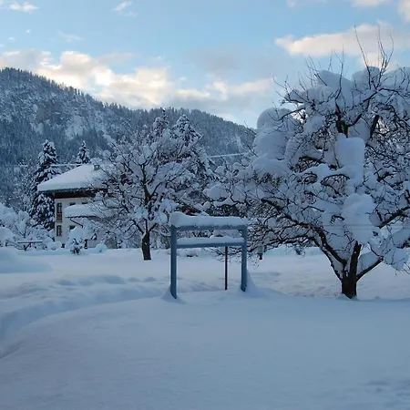 Haus Schreieck Klaudia