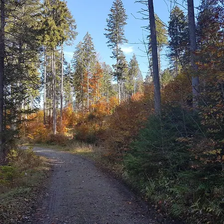 Haus Schreieck Klaudia Appartement