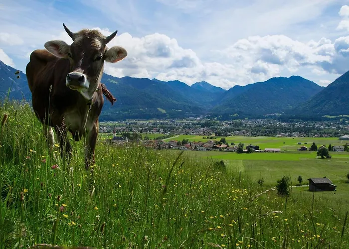 Haus Schreieck Klaudia