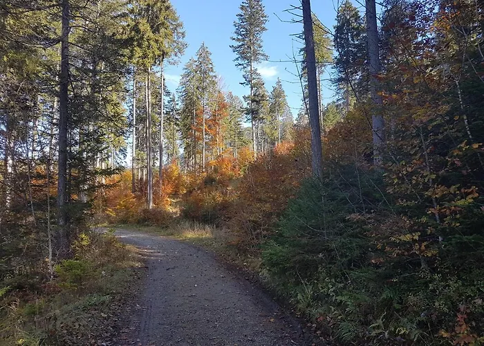 Haus Schreieck Klaudia Lejlighed