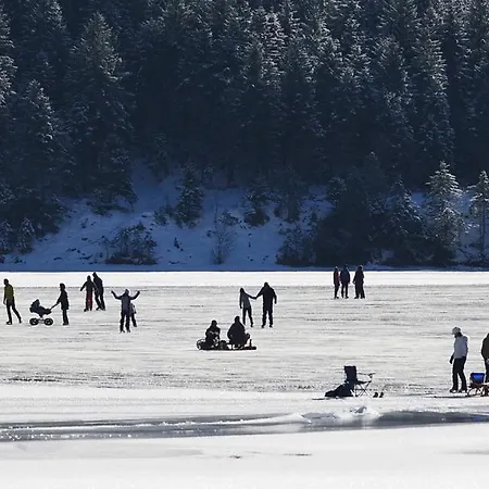 Haus Schreieck Klaudia Daire