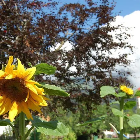 Haus Schreieck Klaudia *