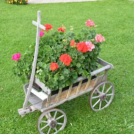 Haus Schreieck Klaudia Daire