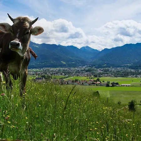Haus Schreieck Klaudia
